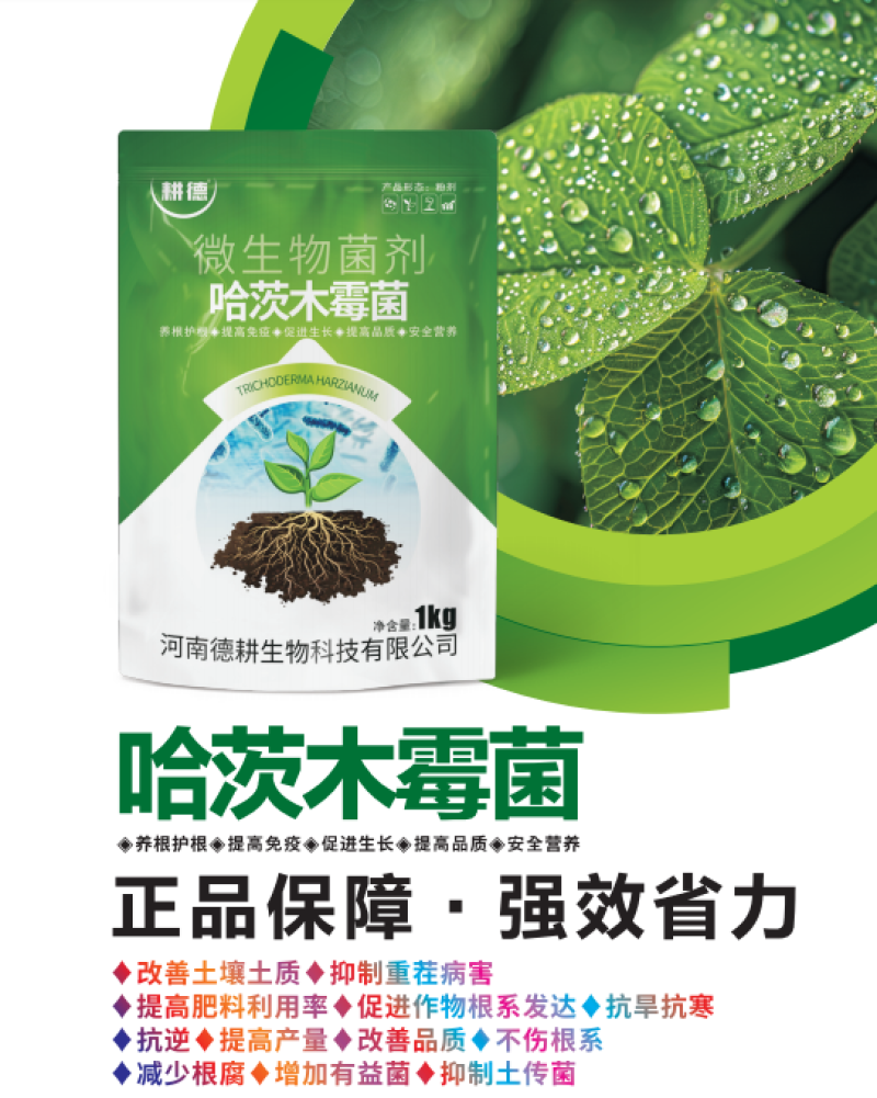 哈茨木霉菌以菌治菌养根护根促进生长提高免疫防治土传