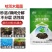 哈茨木霉菌以菌治菌养根护根促进生长提高免疫防治土传