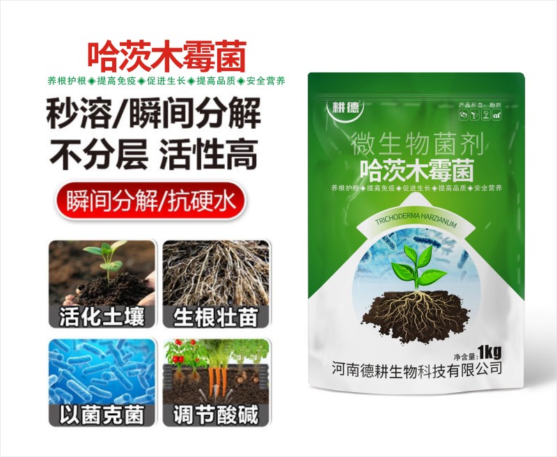 哈茨木霉菌以菌治菌养根护根促进生长提高免疫防治土传