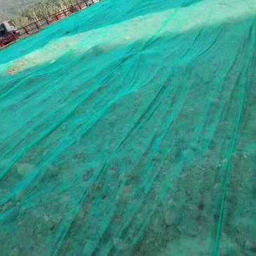绿化无纺布种草籽无纺布边坡绿化无纺布矿山复绿无纺布