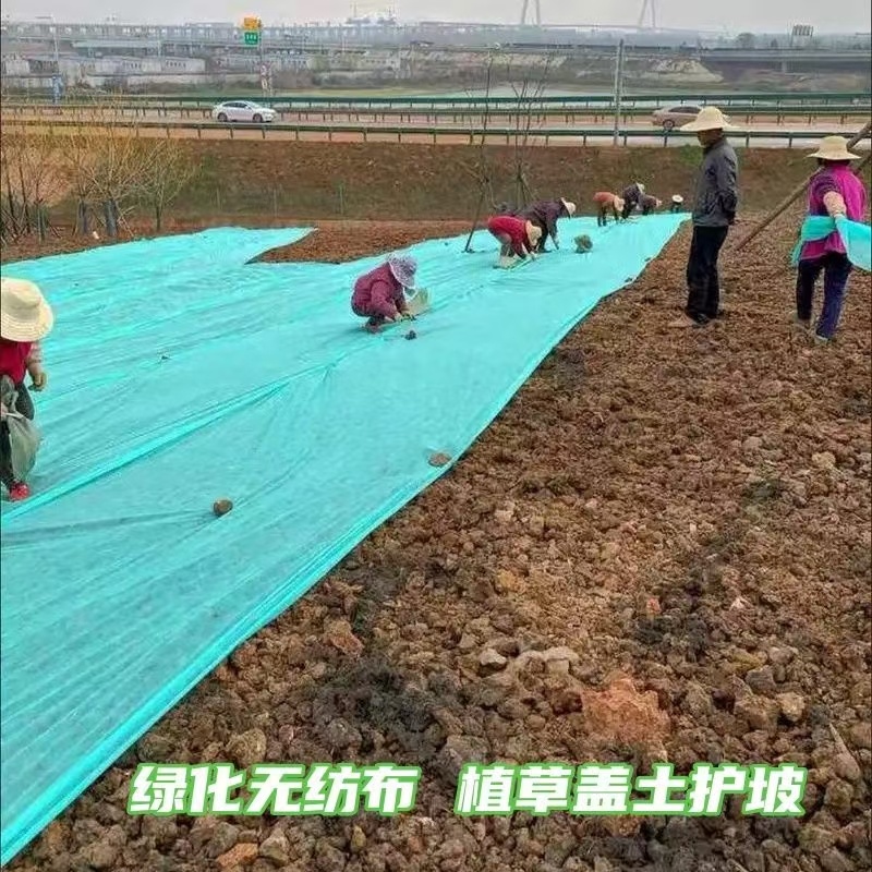绿化无纺布种草籽无纺布边坡绿化无纺布矿山复绿无纺布