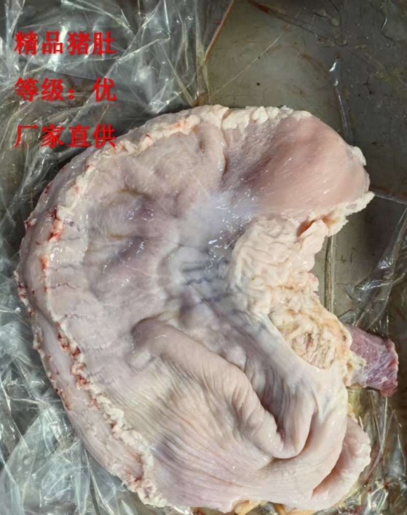 《精品》猪肚大量有货品质优可一件代发对接电商