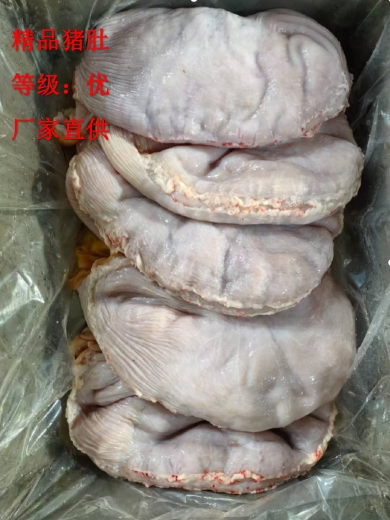 《精品》猪肚大量有货品质优可一件代发对接电商