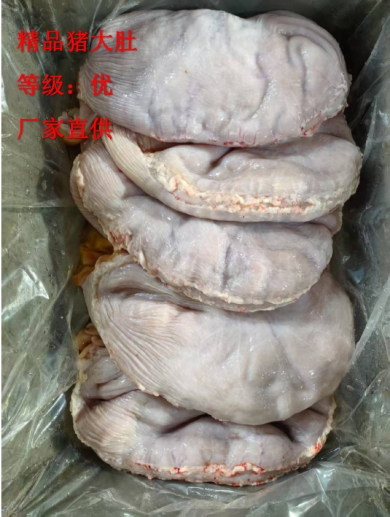 《精品》猪肚大量有货品质优可一件代发对接电商