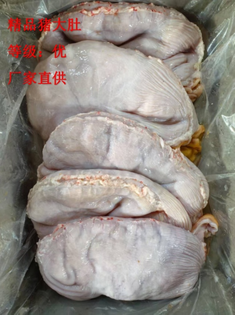 《精品》猪肚大量有货品质优可一件代发对接电商