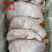 《精品》猪肚大量有货品质优可一件代发对接电商