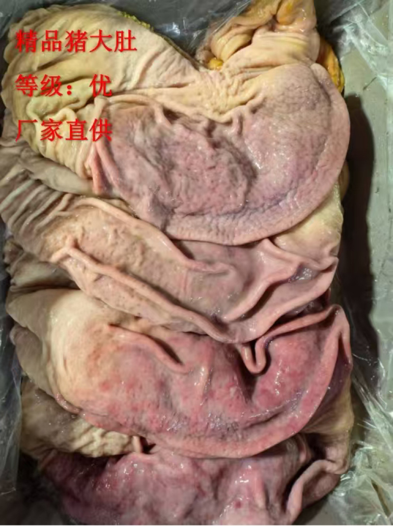 《精品》猪肚大量有货品质优可一件代发对接电商