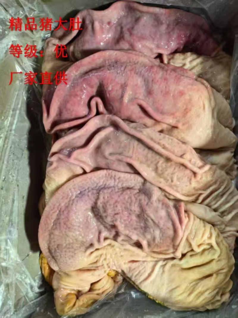 《精品》猪肚大量有货品质优可一件代发对接电商