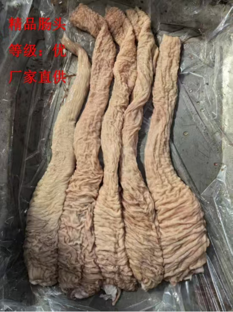 《精品》特级肠头大量有货品质优可视频看货