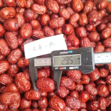 新疆灰枣(小件样品)