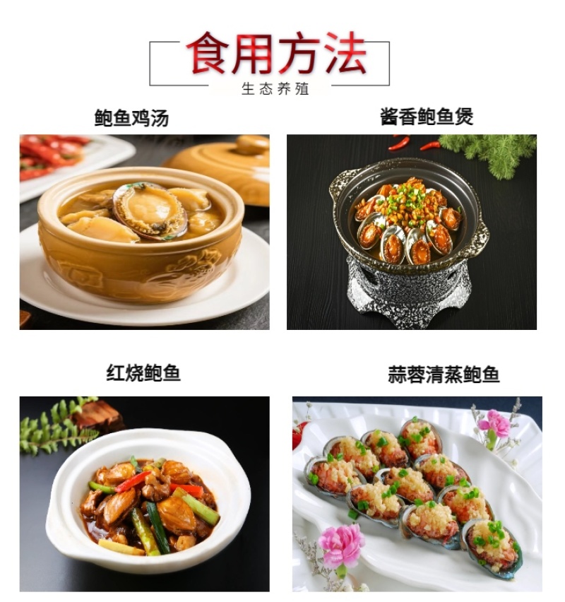 活冻鲍鱼新鲜速冻4头大鲍鱼原产地厂家海鲜冻品批发