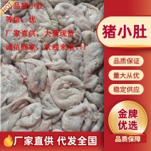 《精品》猪小肚新鲜无注水品质优可视频看货