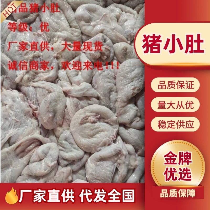 《精品》猪小肚新鲜无注水品质优可视频看货