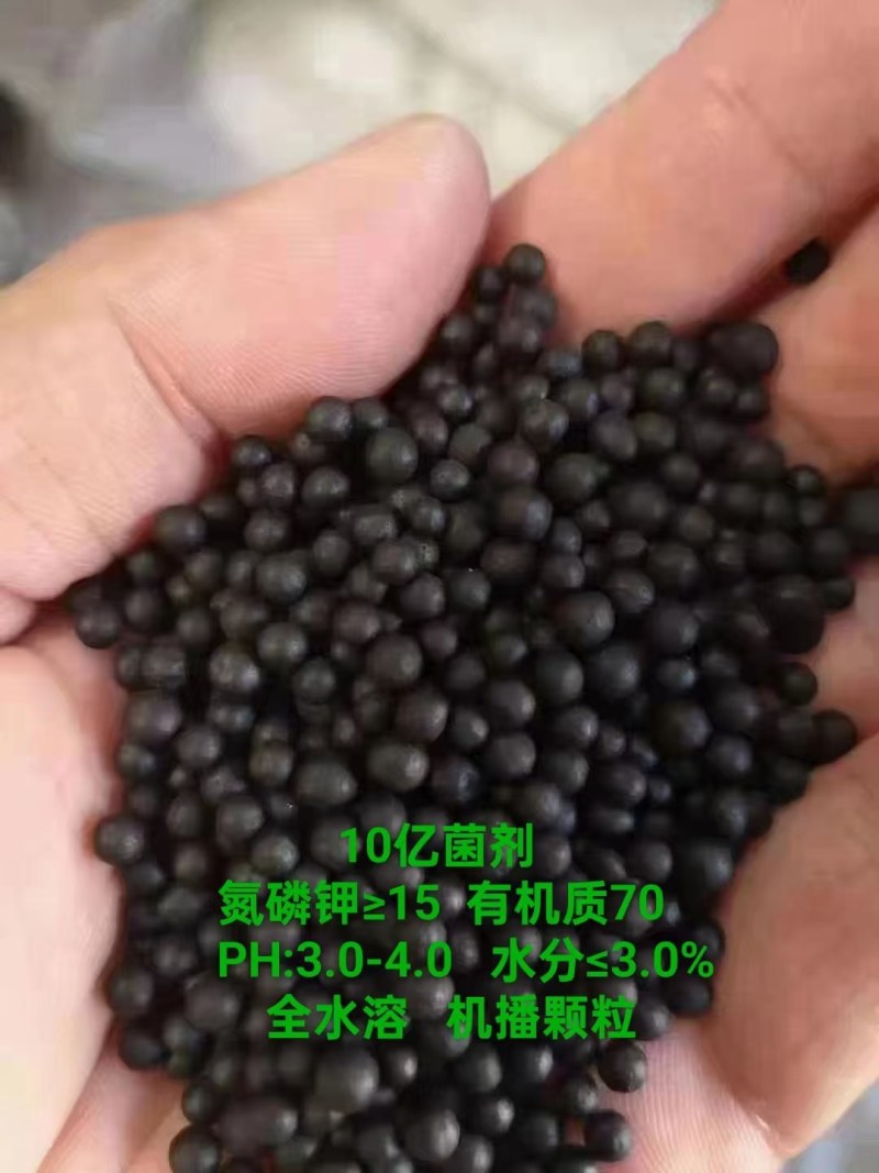 黄腐酸钾微生物菌剂10亿活菌生根快抗病毒，抗重茬厂家直销