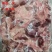 《精品》猪连肝肉大量有货新鲜品质优