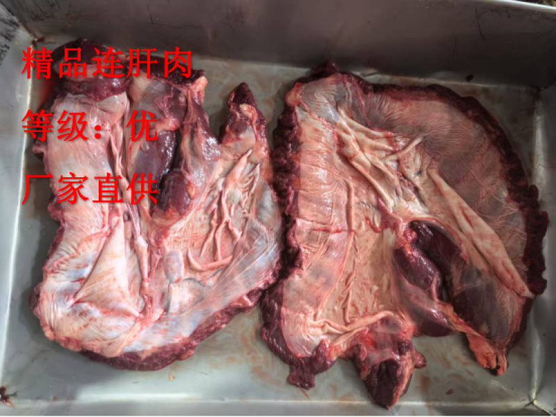 《精品》猪连肝肉大量有货新鲜品质优