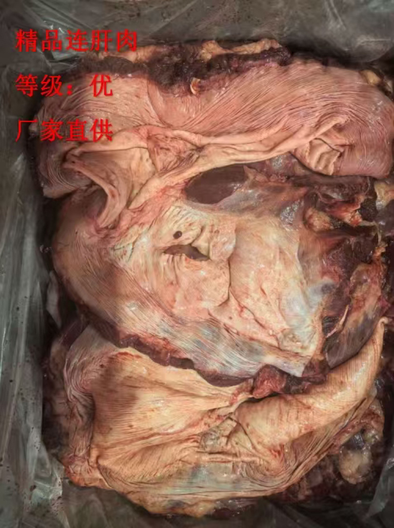 《精品》猪连肝肉大量有货新鲜品质优