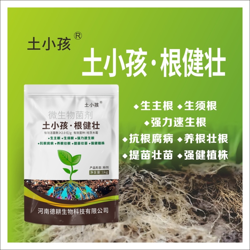 强力生根，生主根生须根，提苗壮根，防根腐强健植株