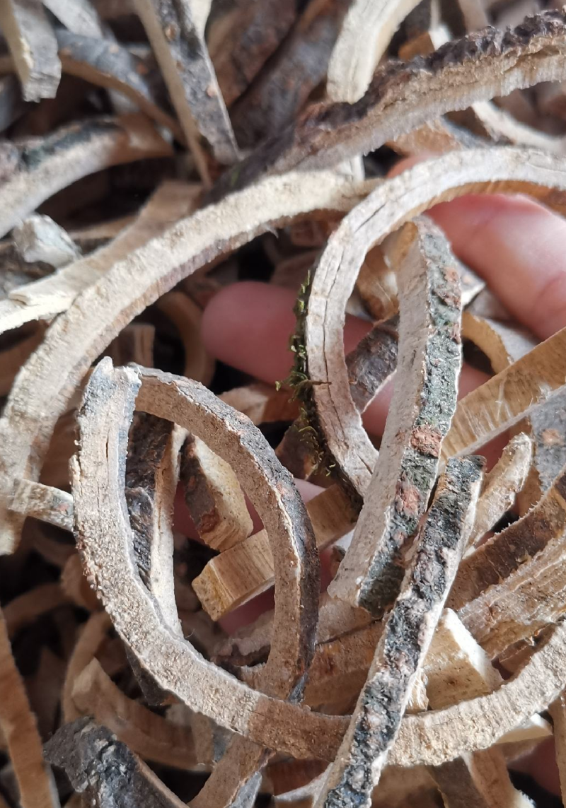 合欢皮中药材合欢皮正品，地道药材合欢皮树茶
