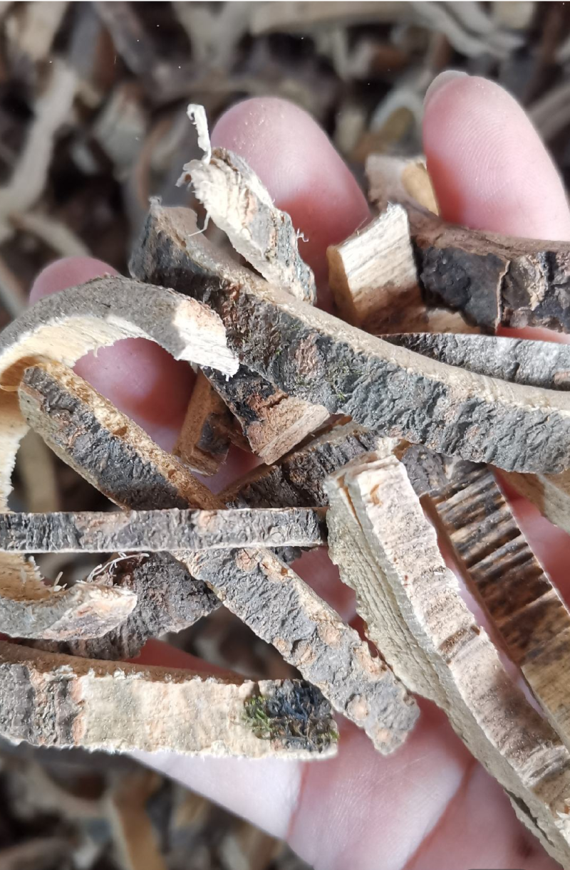 合欢皮中药材合欢皮正品，地道药材合欢皮树茶