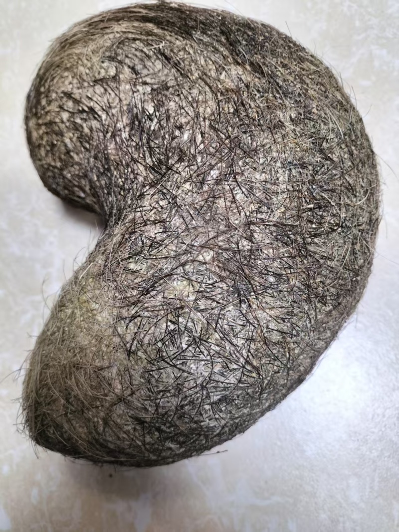 【推荐】猪宝，猪辰砂，中药材，支持视频，实地看货