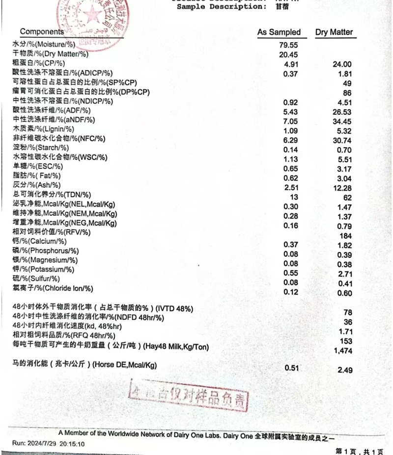 苜蓿草源头货源品质保证量大从优一手货源欢迎联系