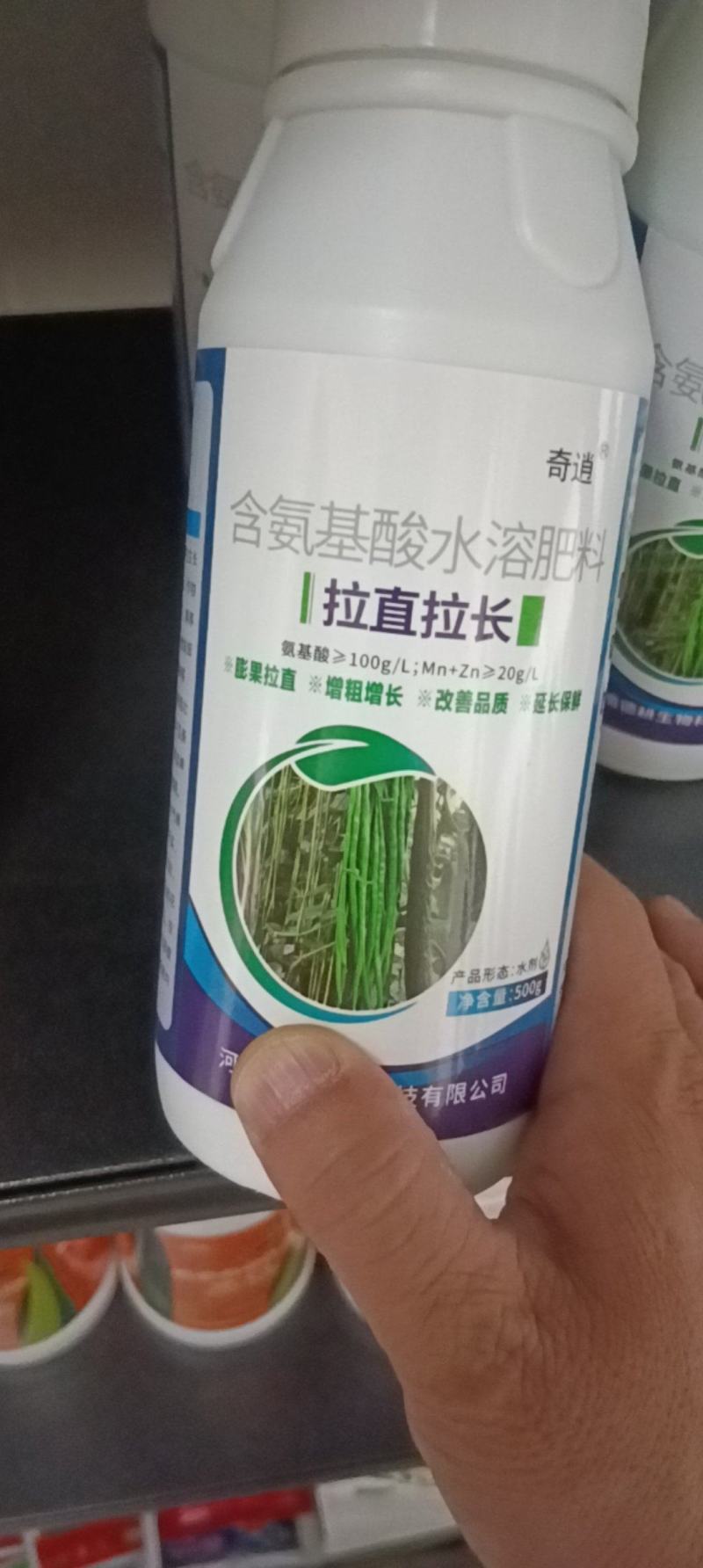 拉直拉长膨大增粗，改善品质提早上市，延长采摘