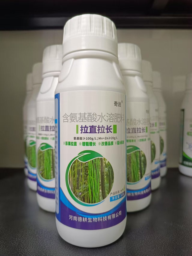 拉直拉长膨大增粗，改善品质提早上市，延长采摘