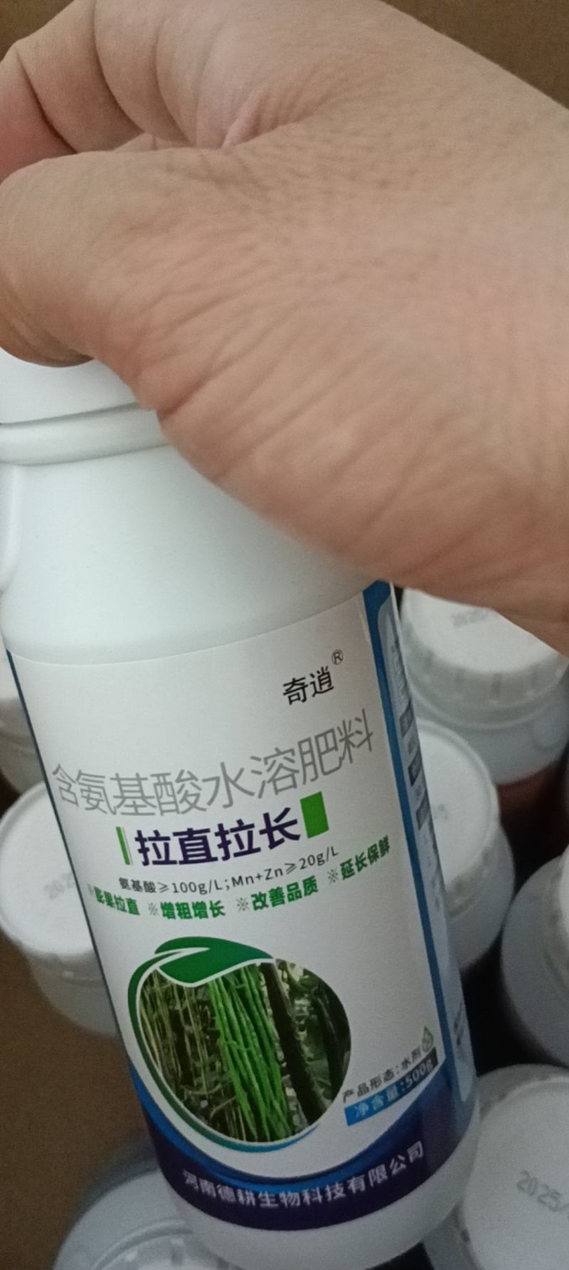 拉直拉长膨大增粗，改善品质提早上市，延长采摘