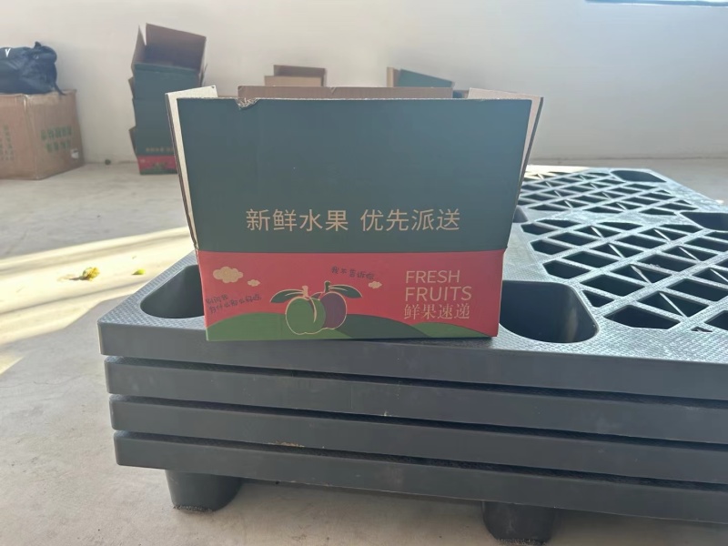 《一件代发》贵州青脆李脱骨李四月李孕妇水果