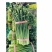 韭菜苔韮苔产地直销量大质优价格优惠一手货源欢迎咨询