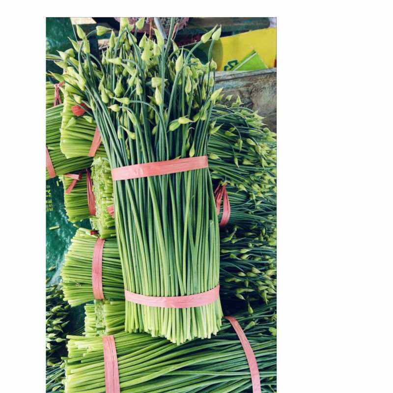 韭菜苔韮苔产地直销量大质优价格优惠一手货源欢迎咨询