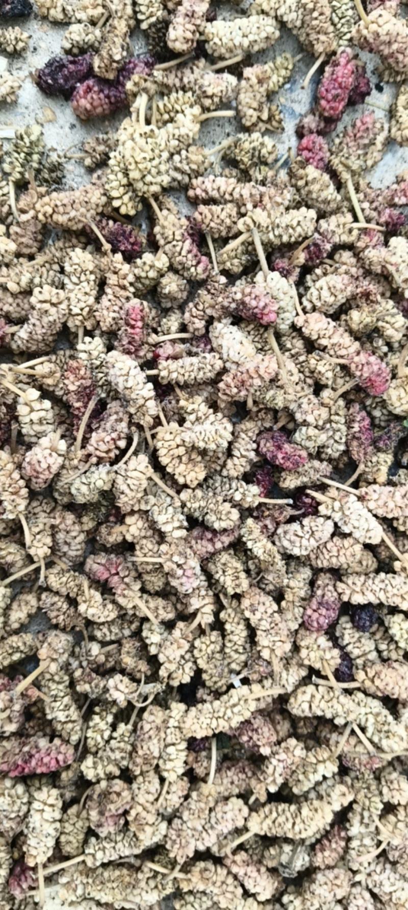 青桑葚干大量供应品质保证欢迎来电洽谈诚信经营