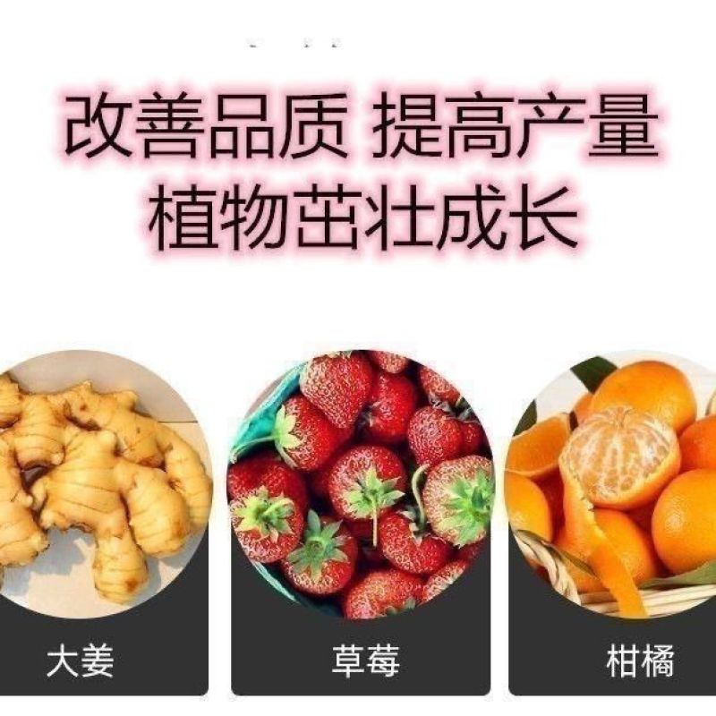 硝酸钙镁全水溶中量元素水溶肥料蔬菜园艺果树通用钙镁肥
