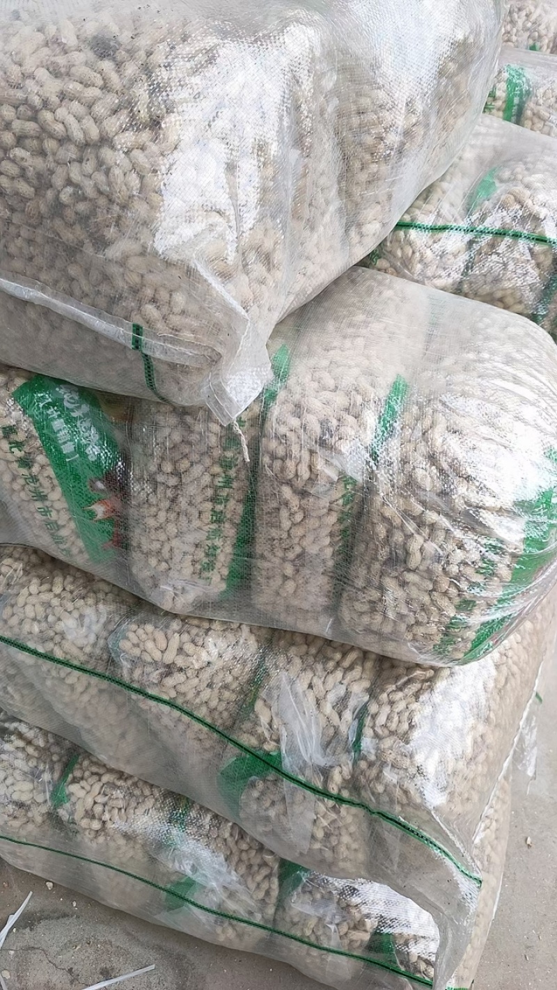 小珍珠花生系列，原味花生，糊点花生，可供电商，大量供货