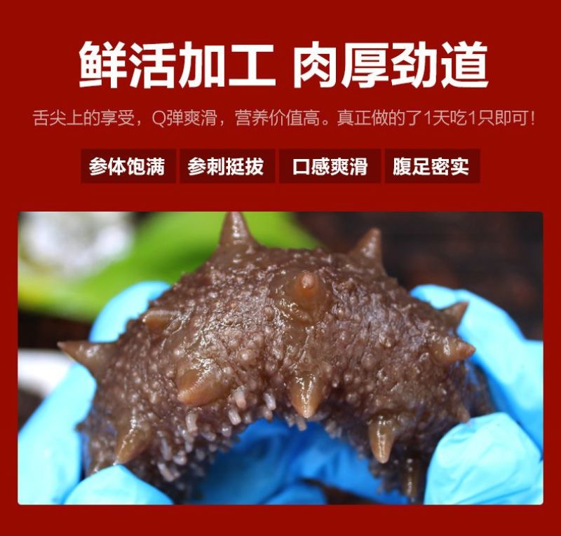 包邮）海参即食大连海参即食刺参海参独立包装辽参新鲜海参