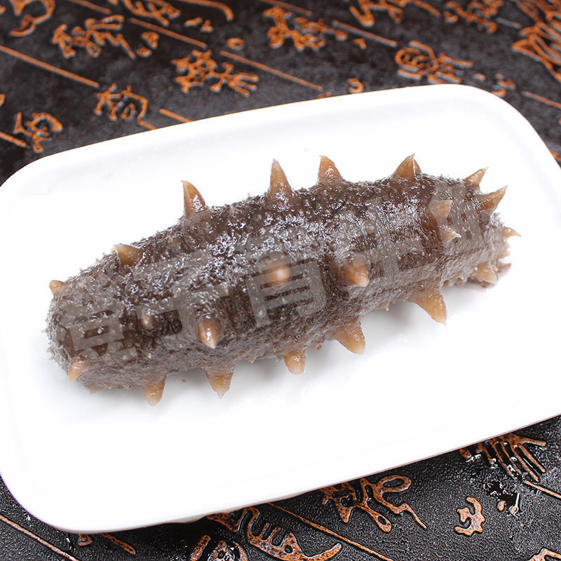 包邮）海参即食大连海参即食刺参海参独立包装辽参新鲜海参