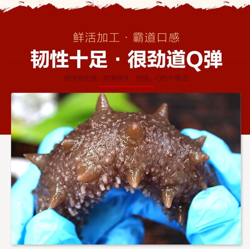 包邮）海参即食大连海参即食刺参海参独立包装辽参新鲜海参