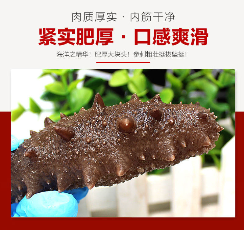 包邮）海参即食大连海参即食刺参海参独立包装辽参新鲜海参