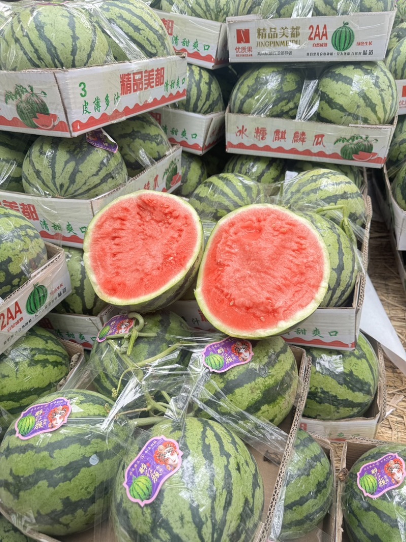 夏邑美都大量有货头茬现摘现发可视频看货