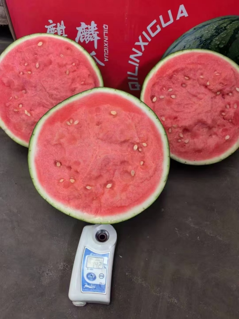 精品美都西瓜大量有货，价格便宜，欢迎新老顾客前来洽谈