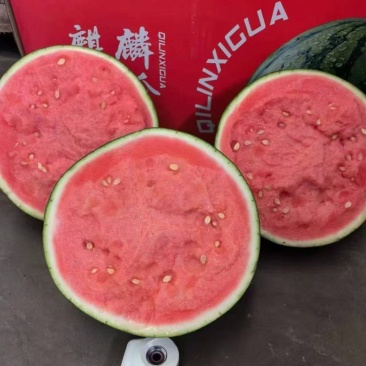 精品美都西瓜大量有货，价格便宜，欢迎新老顾客前来洽谈