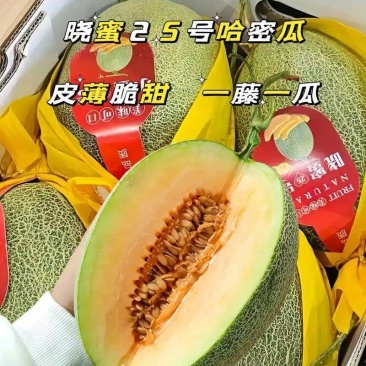 晓密25号哈密瓜,山东青州,产地直发货量充足,可视频看货