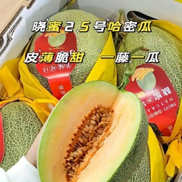 晓密25号哈密瓜,山东青州,产地直发货量充足,可视频看货