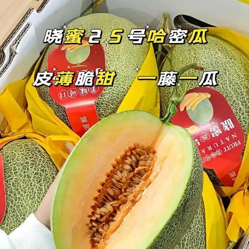 晓密25号哈密瓜，山东青州，产地直发货量充足，可视频看货