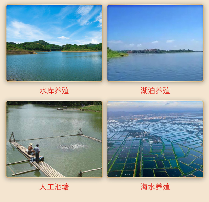 豫渔苯扎溴铵溶液水产养殖用鱼虾蟹消毒杀菌烂鳃出血败血金方