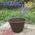 牛筋灰桶瓦工泥桶加厚牛筋桶熟胶工地用大号带提手砂浆桶