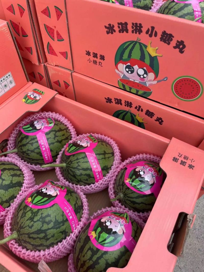 小糖丸西瓜，产地直供，全国无死角代办，货量充足可视频看货