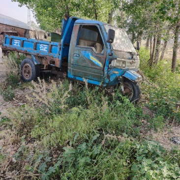 农用三马车