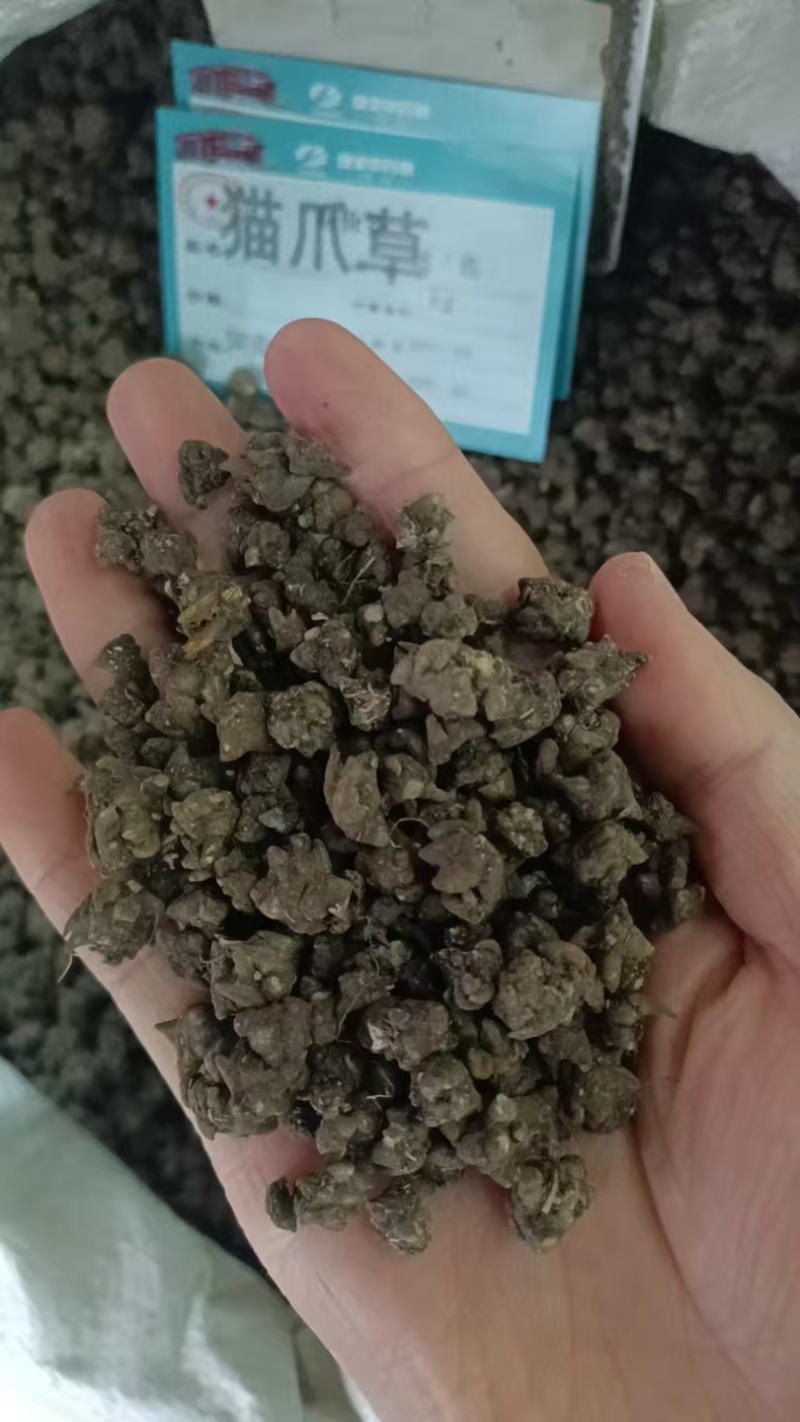 猫爪草批发500克中药材原料批发无硫***结节消